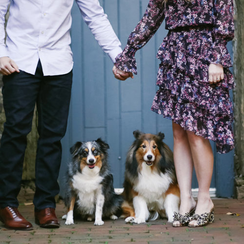 Engaging Tails: Piper and Oliver | Alexandria, VA