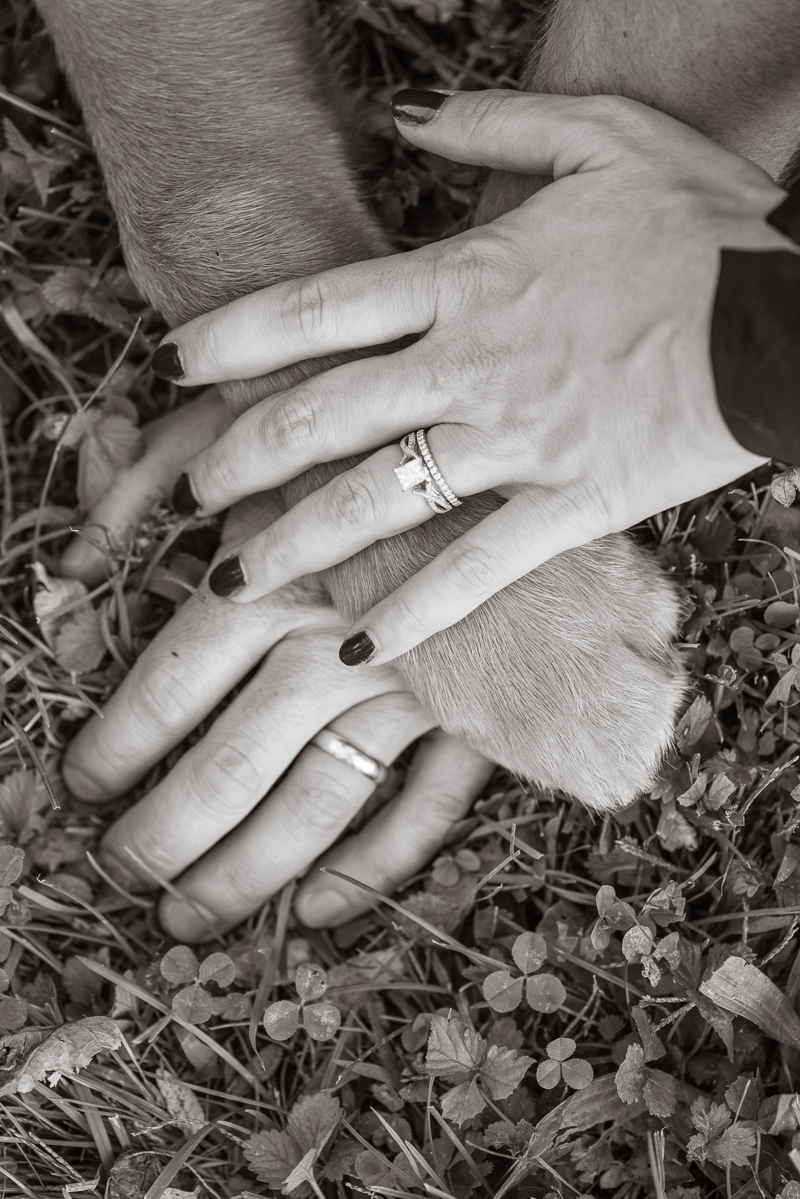 paw and hands, rings detail shot | ©Alice G Patterson Photography 