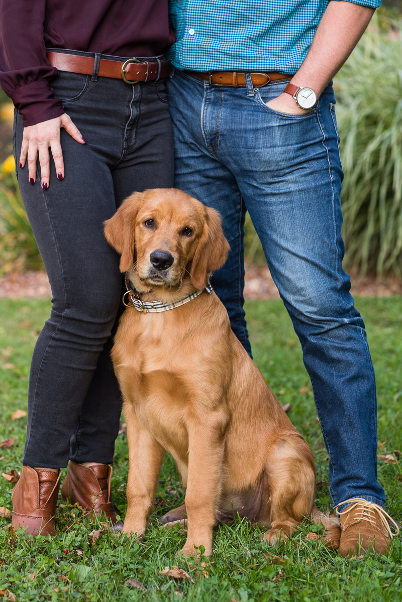 ©Alice G Patterson Photography - Syracuse dog photography, Golden Retriever