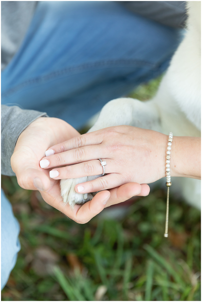 hands and paw, engagement ring detail shot, ©Kayce Stork Photography | Biloxi, MS