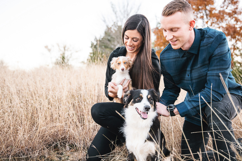 modern family portraits with mini Australian Shepherds, ©Monika Normand Photography | Dallas lifestyle dog-friendly family photography
