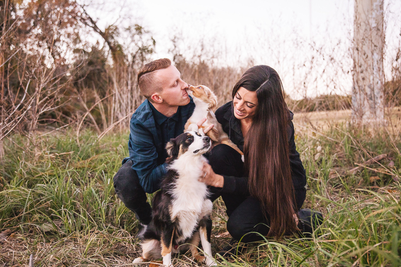 couple and their Mini Australian Shepherds ©Monika Normand Photography | Dallas lifestyle dog-friendly family photography
