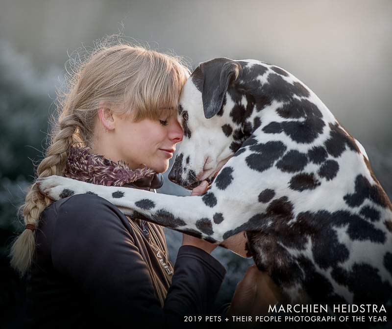 love between dogs and humans, ©Marchien Heidstra 2019 Pets + Their People Photography of the Year - Lifestyle dog photography