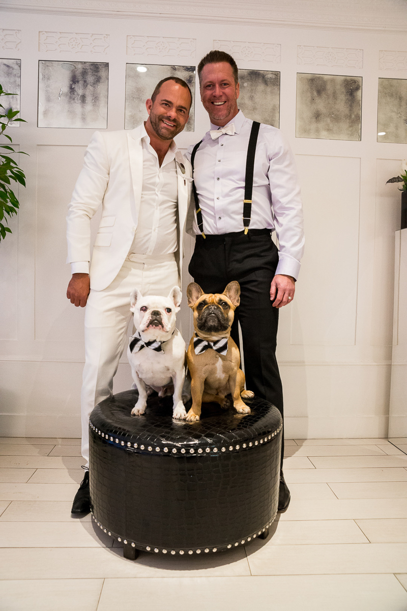 French Bulldogs and grooms, same sex wedding, ©Robert Evans Studios