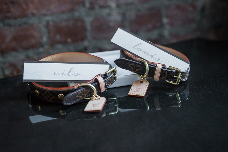 leather collars for wedding dogs | ©Robert Evans Studios dog-friendly wedding planning