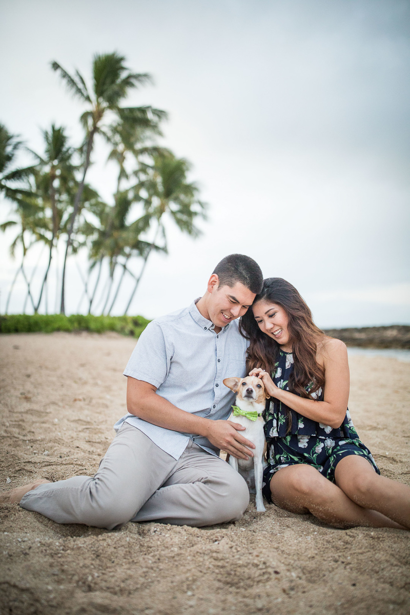 couple and dog on beach with palm trees in background in Hawaii, VIVIDfotos,