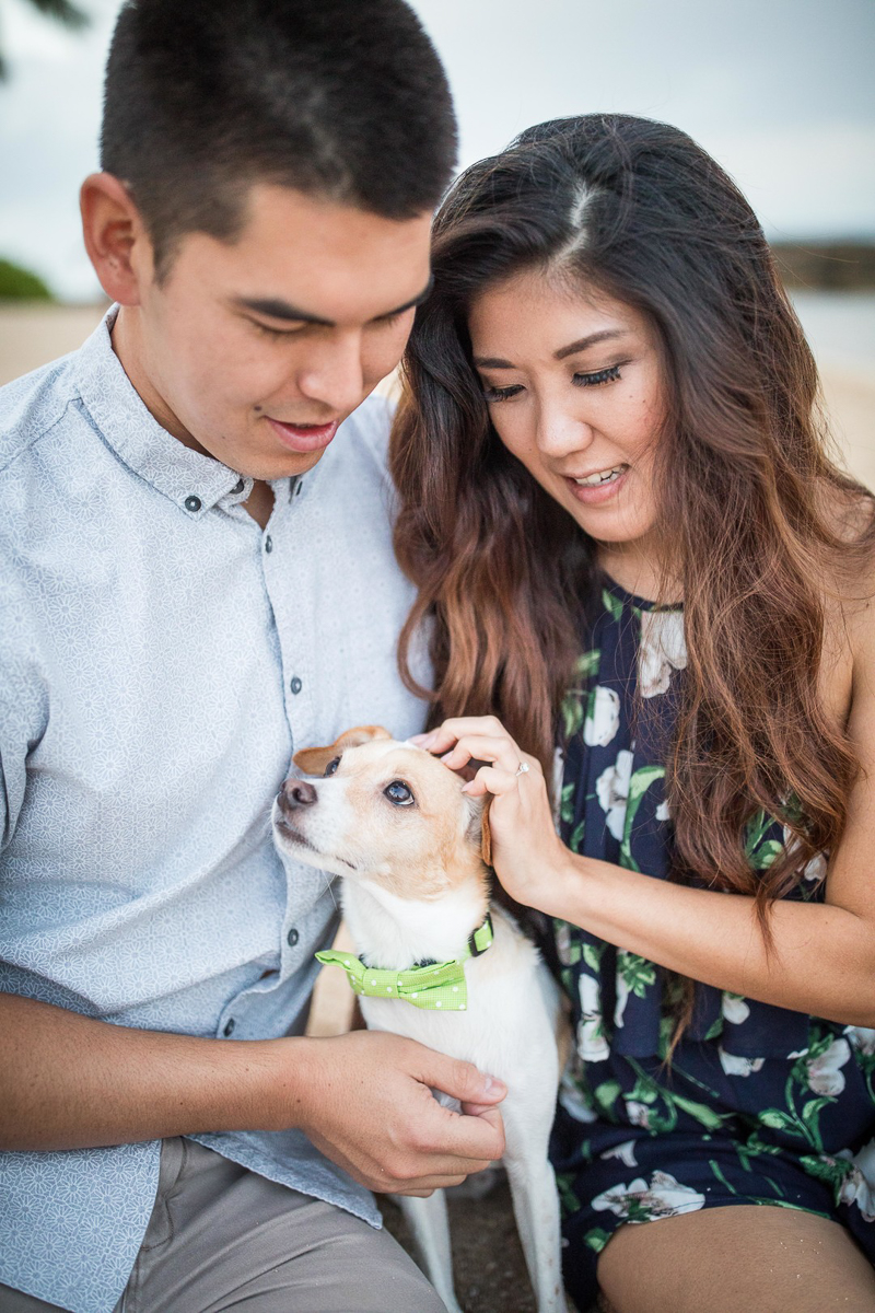 young couple petting their small Jack Russell mix | ©VIVIDfotos