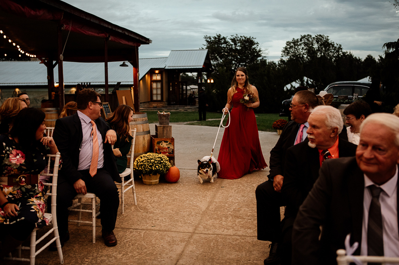 woman in long red dress walking down the aisle with a Corgi, dog-friendly wedding | © McKenzie Bigliazzi Photography