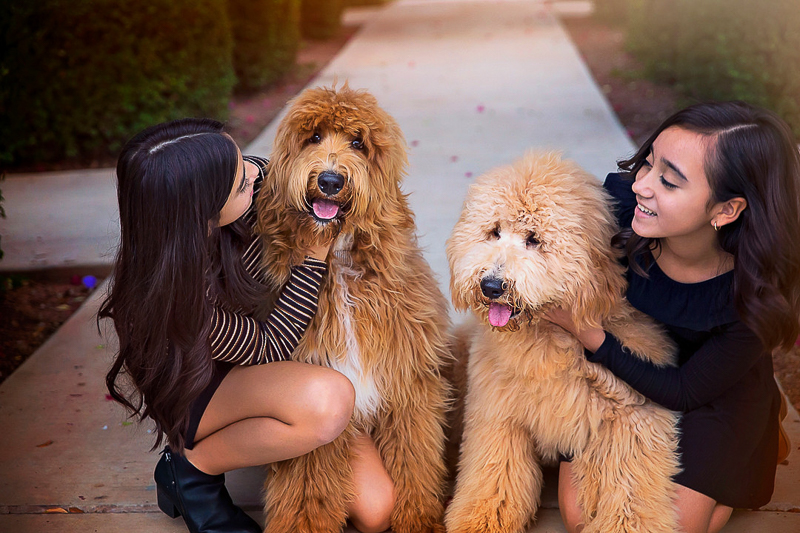 sisters and their Goldendoodles, ©Laura Gordillo Photography | dog-friendly family portraits
