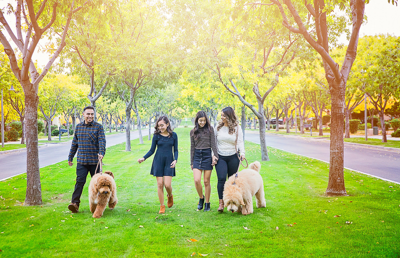 family walking their dogs, ©Laura Gordillo Photography | dog-friendly family portraits, Phoenix, AZ