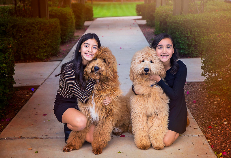 family photos with kids and dogs, ©Laura Gordillo Photography | people and their pets, Phoenix, AZ