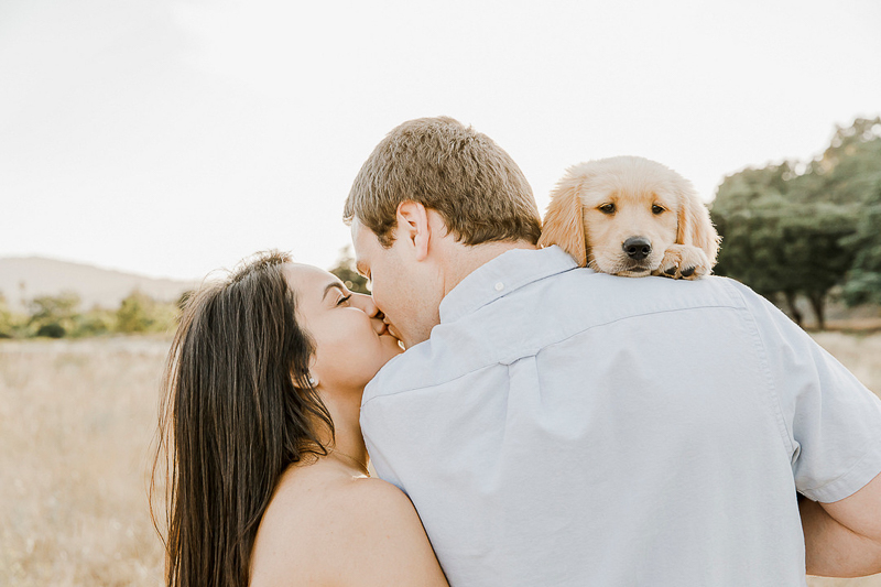 dog-friendly engagement photos with Golden Retriever pup, Gilroy, CA | ©Paulina Perrucci Photography