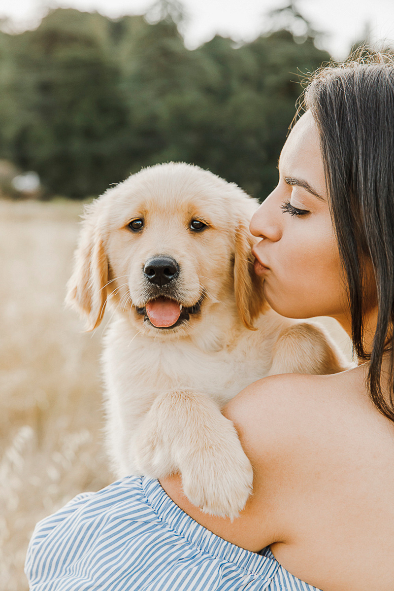 woman holding cute puppy in golden field, dog photography ideas | ©Paulina Perrucci Photography