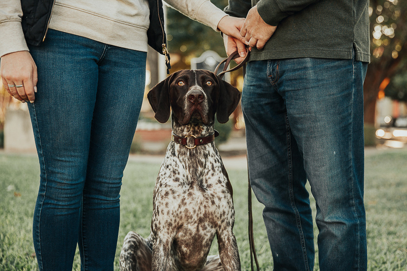 dog-friendly engagement ideas, ©Joshua and Parisa | Austin Wedding Photographer and Videographer
