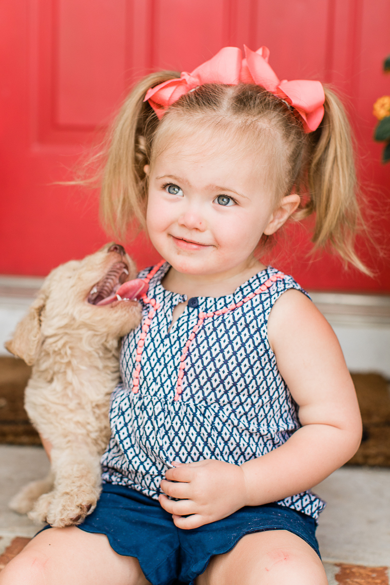 toddler and golden doodle puppy | ©Brandy Morrison Photography