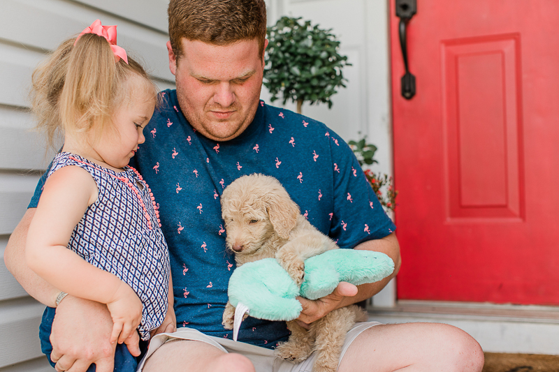 man holding small puppy, toddler looking at puppy | ©Brandy Morrison Photography | dog-friendly family portraits
