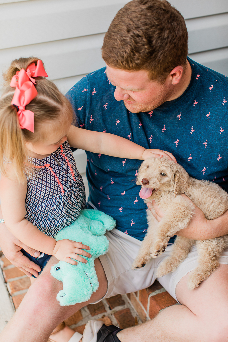 puppy love, toddler petting a puppy | ©Brandy Morrison Photography | dog-friendly family portraits