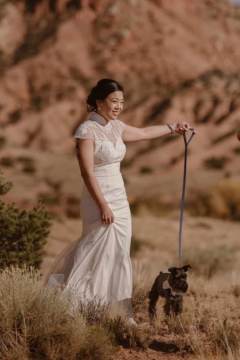 bride and her dog, mini-Schnauzer, Taos, New Mexico romantic elopement | © Adventure Instead dog-friendly elopement photography, Abiquiú, NM