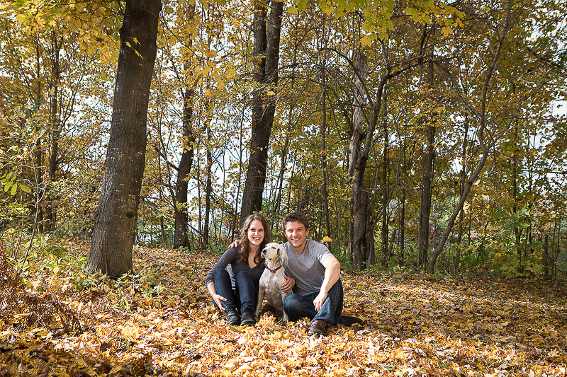 fall engagement photos with Llewellin Setter | ©Cat Cutillo Photography | Vermont engagement and wedding photographer