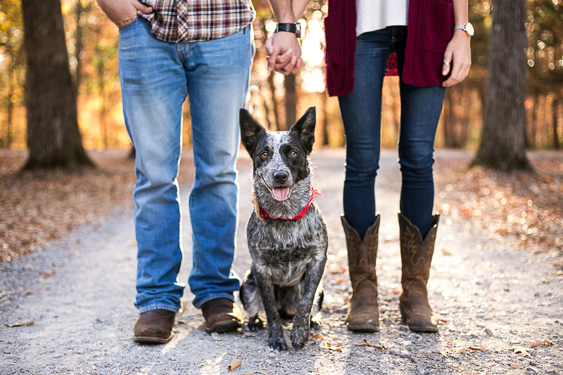 cattledog, dog-friendly engagement tips | ©K Schulz Photography 