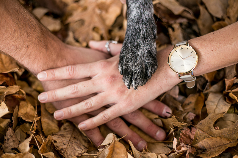 hands and paw, engagement photos with a dog | ©K Schulz Photography 