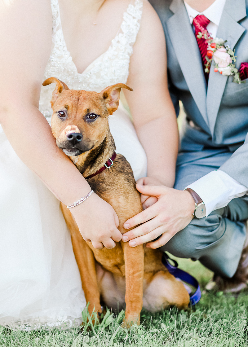  dog-friendly wedding, Ava, Missouri. ©Shelby Chante' Photography