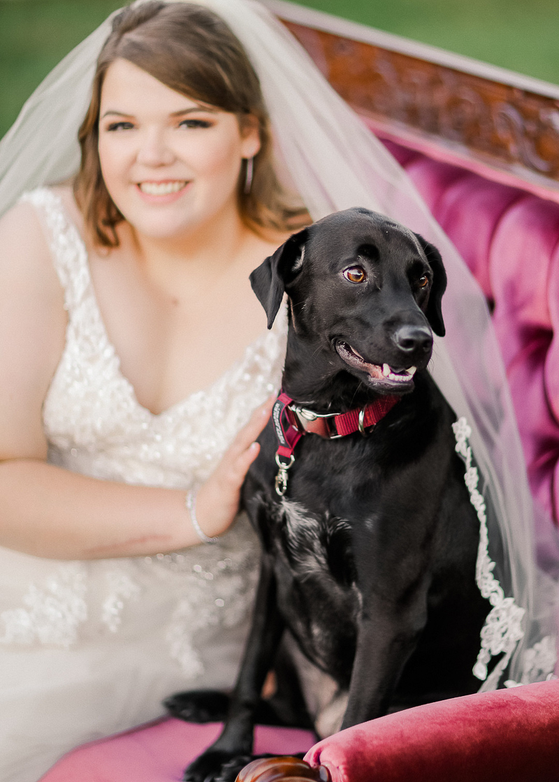 bride and her dog sitting on vintage sofa outside, ©Shelby Chante' Photography