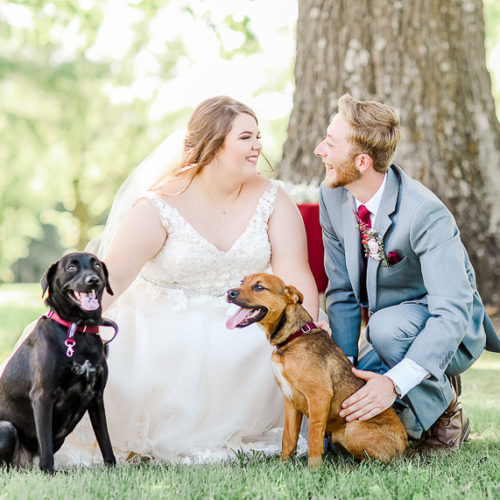 Best (Wedding) Dogs:  Franny and Ruby | Ava, Missouri