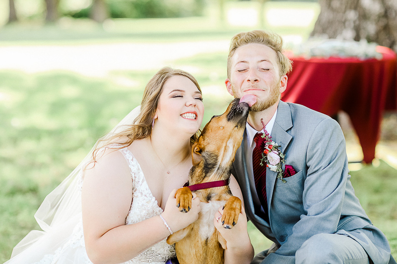 cute Boxer/Lab mix licking groom's face, happy wedding photos dog-friendly wedding, Ava, Missouri | ©Shelby Chante' Photography