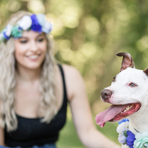 Happy Tails:  Luna the Mixed Breed | Allaire State Park