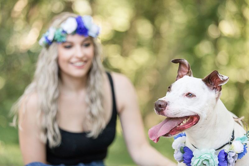 Happy Tails:  Luna the Mixed Breed | Allaire State Park