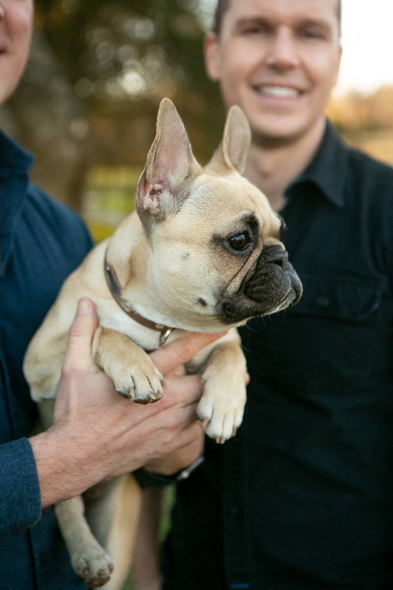 adorable Frenchie and her humans | ©Mandy Whitley Photography, College Grove, TN