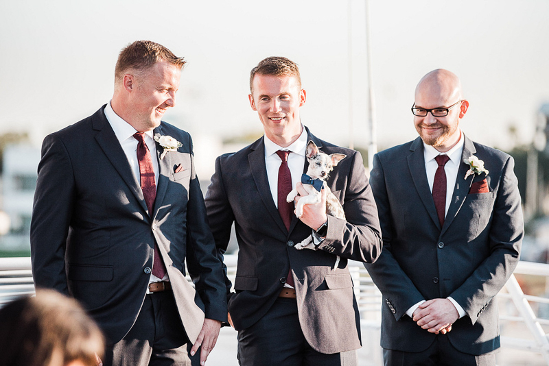 groom, best man, usher and wedding dog, including dogs in a wedding, ©I Got Shot By Lisa Marie Photography 