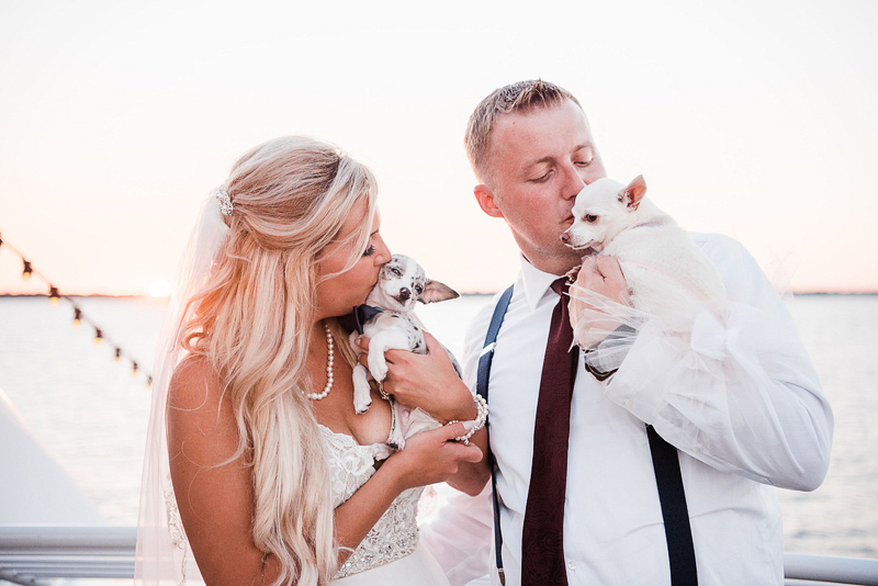 bride and groom kissing their Chihuahuas on a yacht, wedding dogs | ©I Got Shot By Lisa Marie Photography