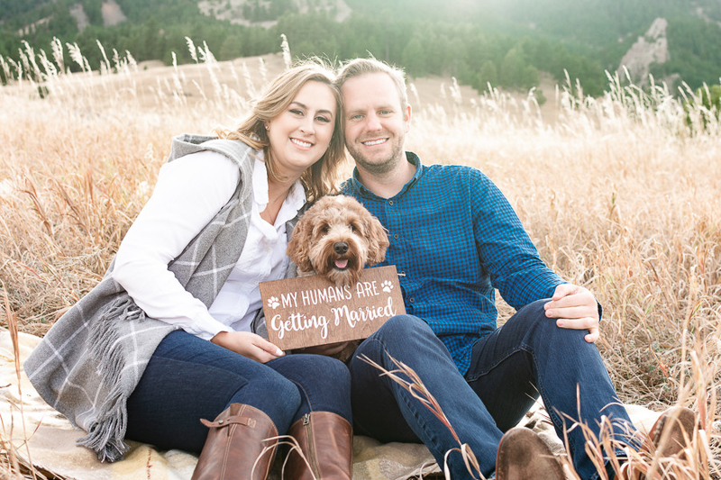 dog wearing my humans are getting married sign, dog-friendly engagement photo ideas | ©Nicole Andre Photography