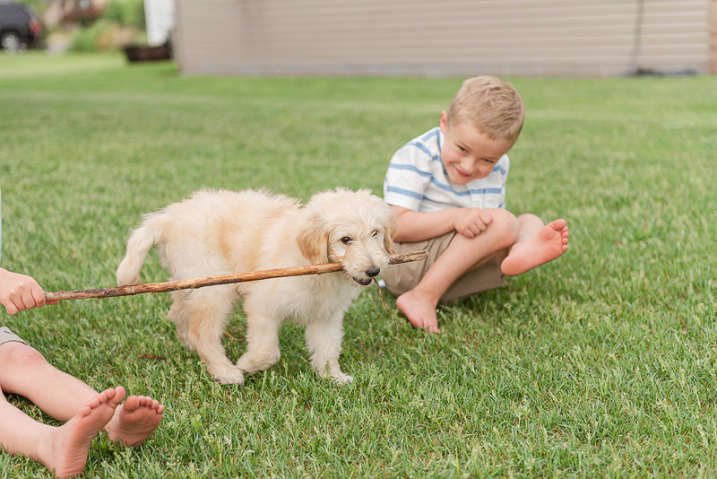 dog-friendly family photo ideas, puppy and kids | ©Samantha Rule Photography | dog-friendly family portraits, Sartell, MN