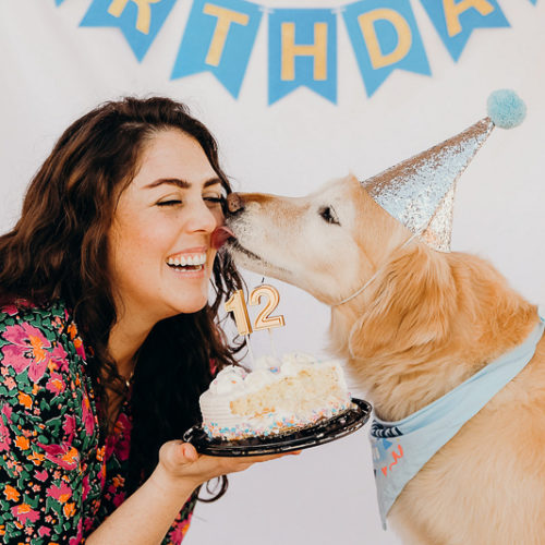 Dog Party:  Lucky The Golden Retriever’s 12th Birthday