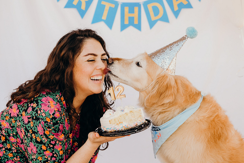 Dog Party:  Lucky The Golden Retriever's 12th Birthday