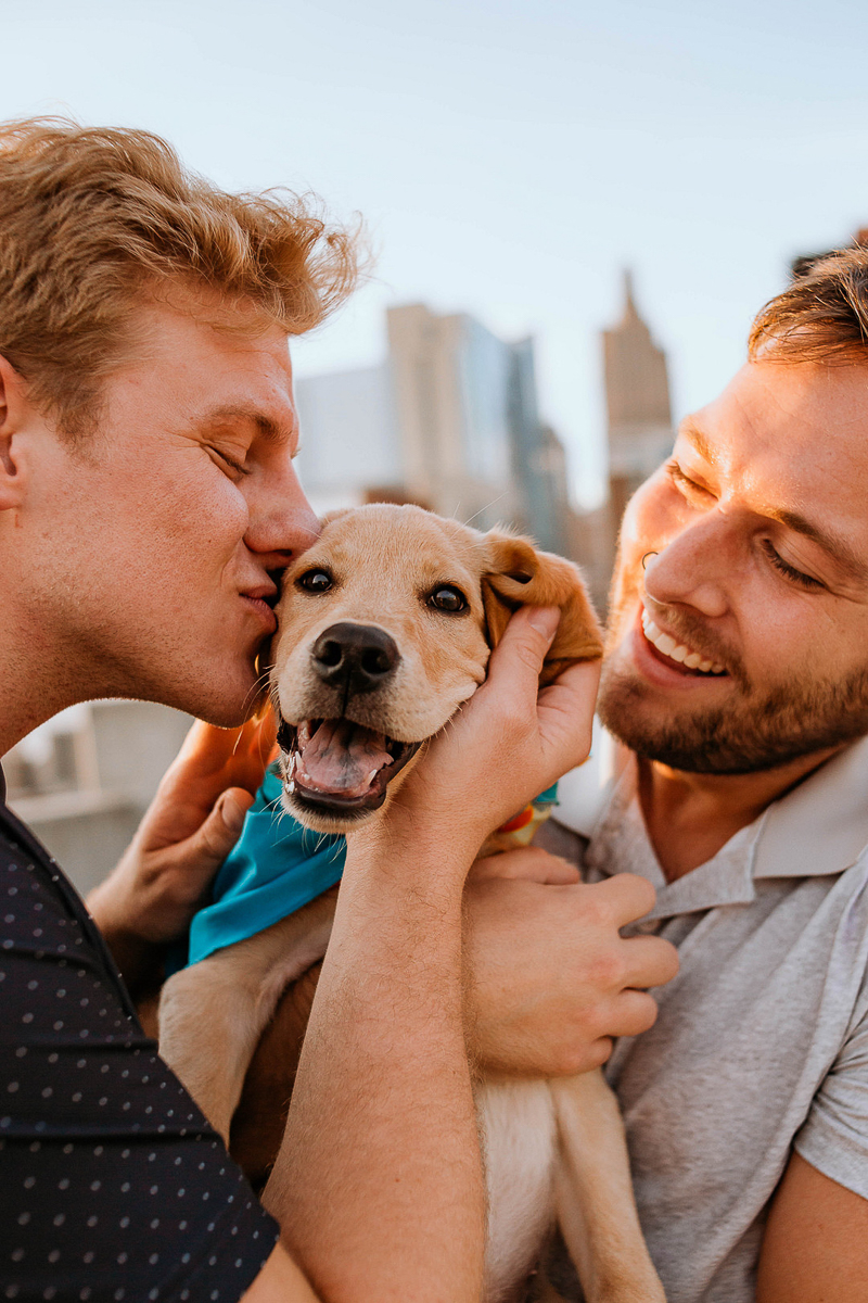 two men and their puppy, candid family photos in Kansas City | ©Stevie Nicole Photography 