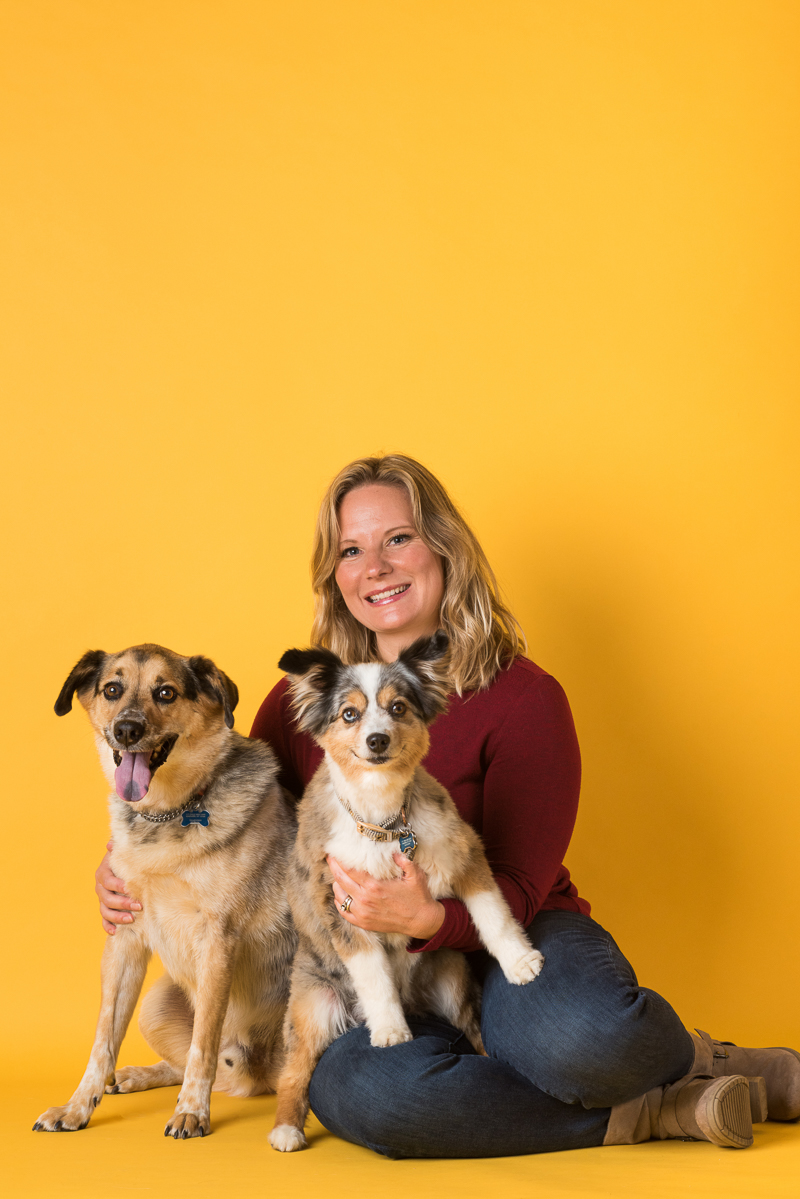woman with her senior dogs, studio dog portrait ideas, yellow background | Alice G Patterson Photography