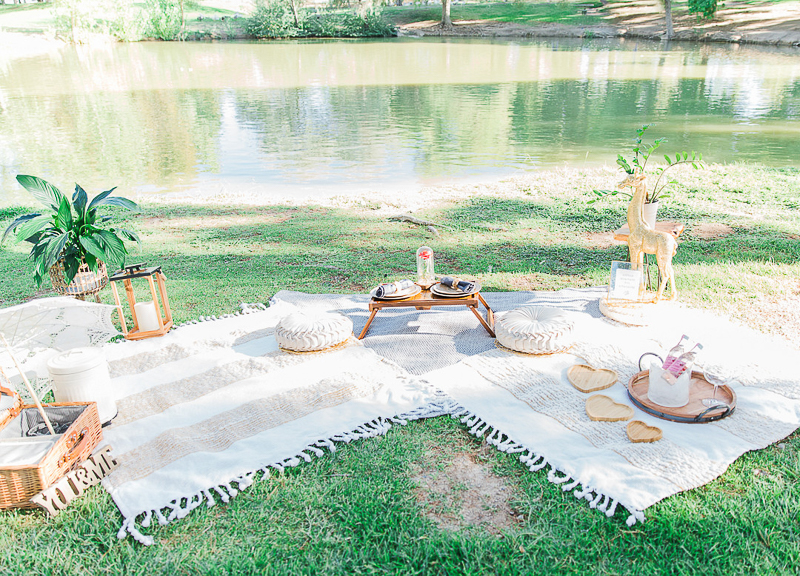 engagement picnic, Floyd Lamb Park | ©Fig + Willow Studios
