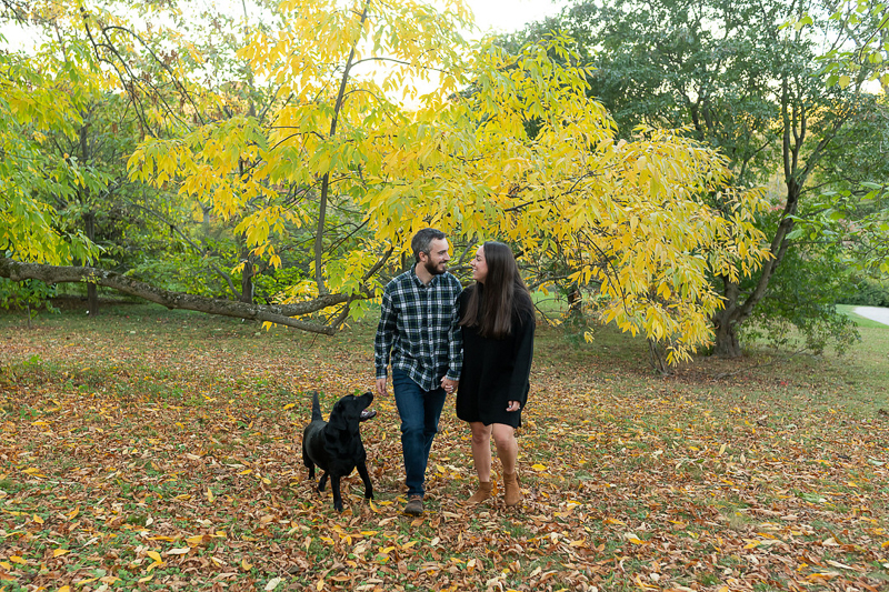 Black lab and couple walking through the leaves, fall engagement portrait ideas ©Jess Sinatra Photography | dog-friendly engagement portraits