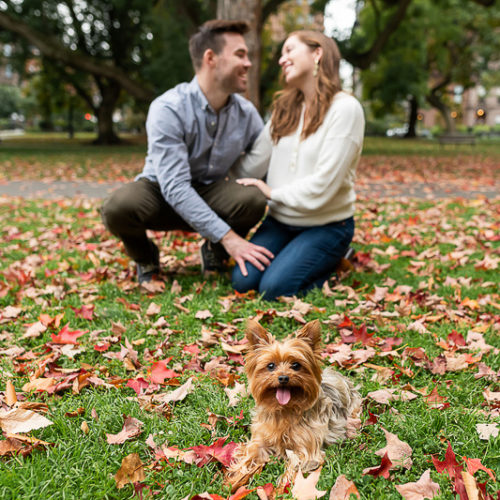 Dog Friendly Engagement Session | Boston Public Garden