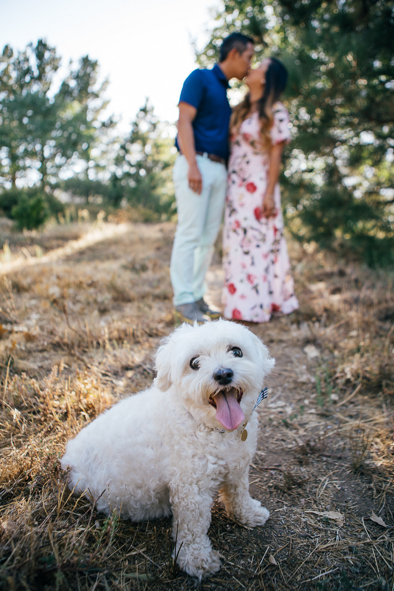 Maltese mix sitting in front couple, dog-friendly engagement photos | ©Stephanie Fong Photography