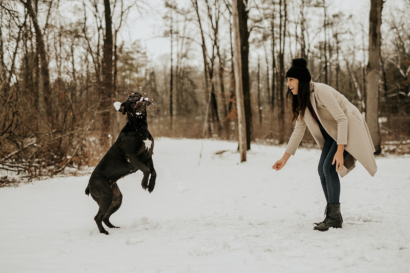 large dog catching a snowball, dog photography ideas | ©Tomo.photography