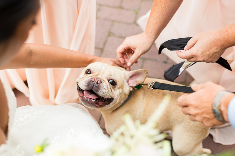 Frenchie, dog-friendly first look | Jessica Hunt Photography | Columbia, South Carolina