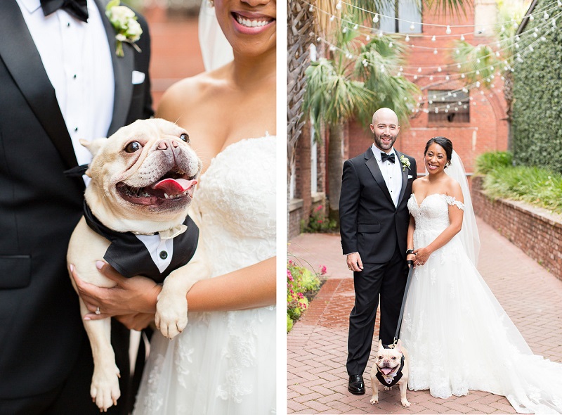 bride and groom and Frenchie, © Jessica Hunt Photography | dog-friendly wedding photography, Columbia, SC