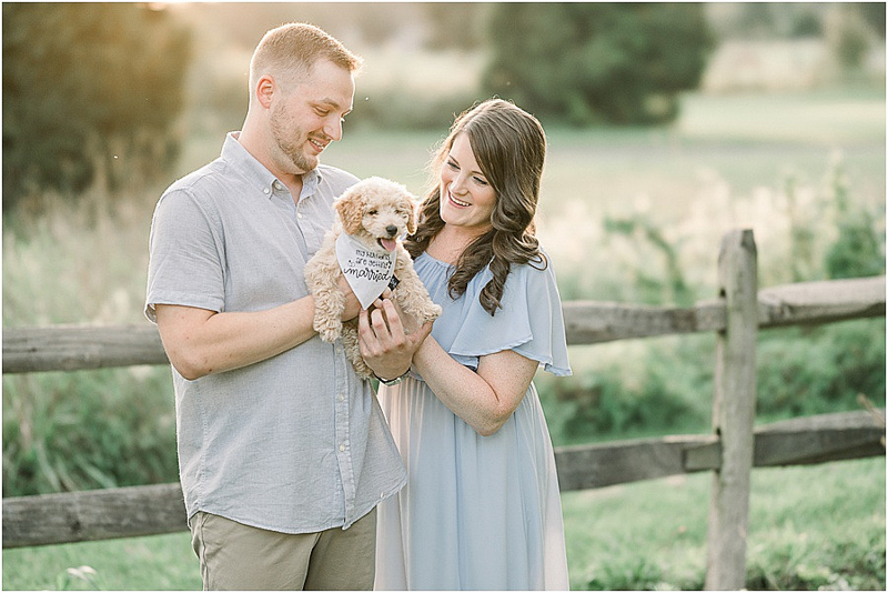 mini Goldendoodle puppy wearing my parents are getting married bandana, dog-friendly engagement pictures | ©John Malloy Photography, Lancaster, PA
