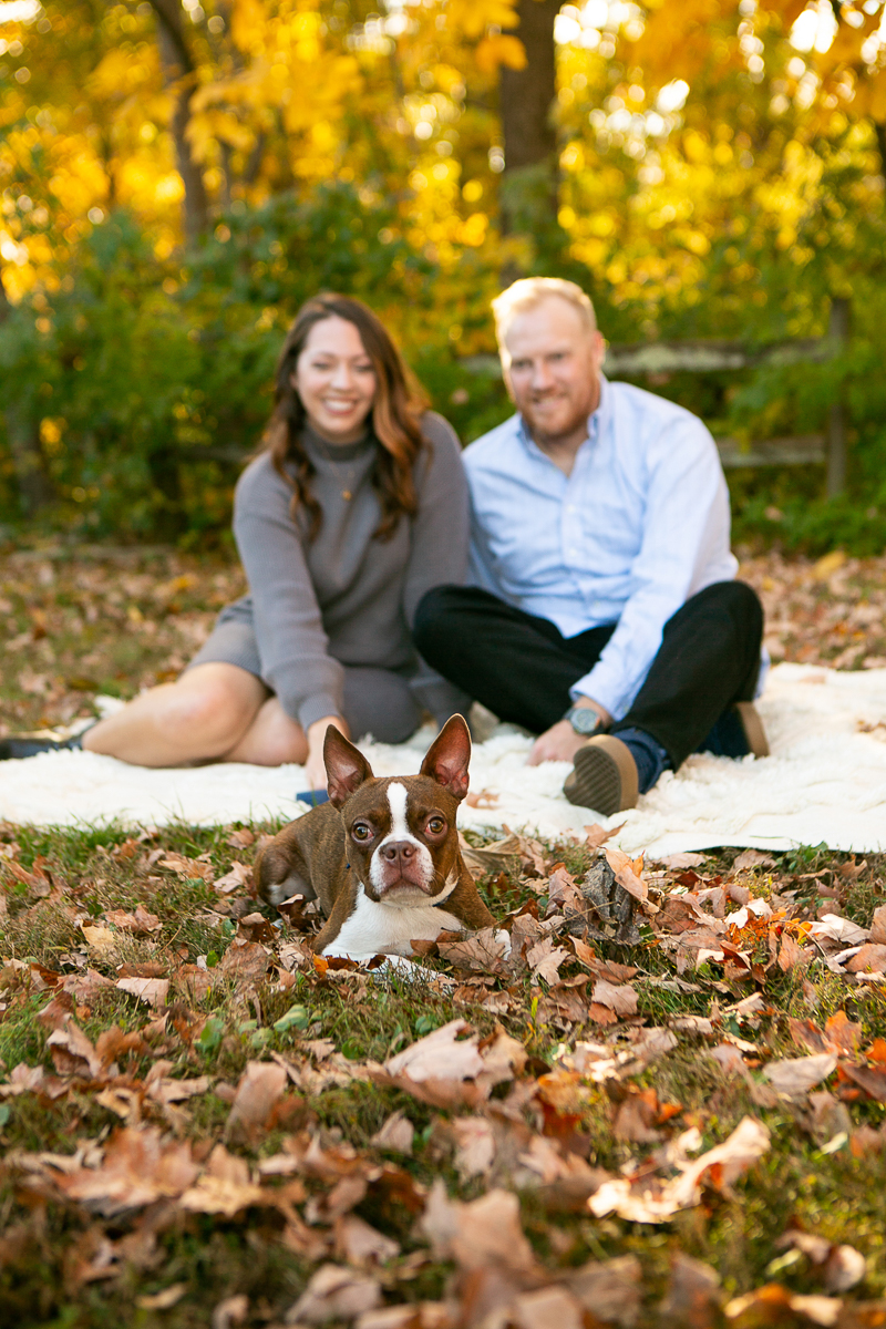 dog-friendly family portrait ideas, couple sitting on blanket, ©Mandy Whitley Photography 