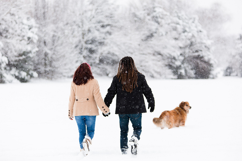 couple holding hands following dog in the snow | couple and their dog in the snow | ©Megan Rei Photography | Bealeton, VA